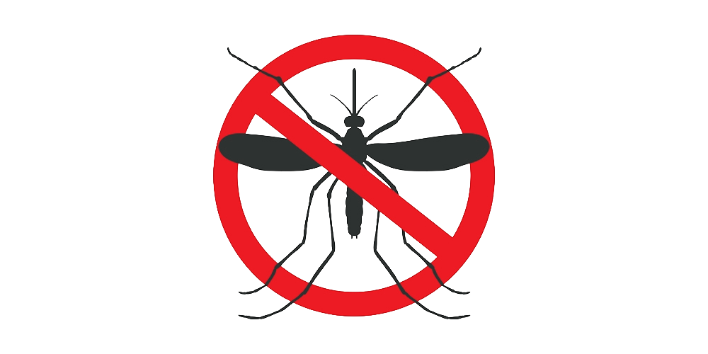 mosquito_1000x500.png