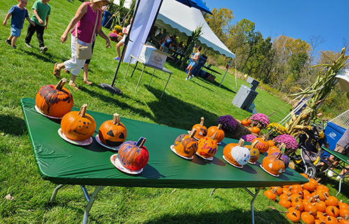 Fall Fest 500.jpg