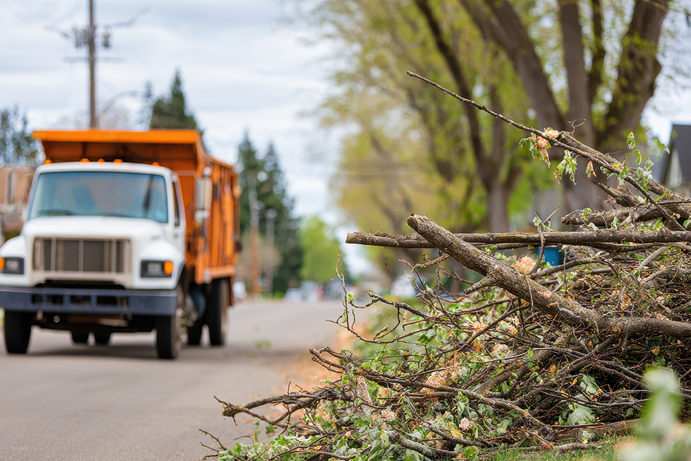 Brush Pick-up_1000x667.jpg